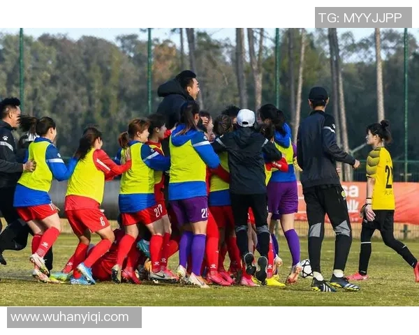 法国女足对决尼日尔女足精彩赛事分析与战术解析