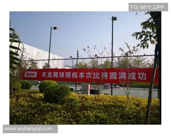 南京网球队运营革新探讨：从管理模式到市场推广的全方位变革分析